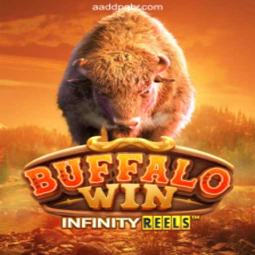 Exploring BuffaloWin: A Dynamic Game Experience